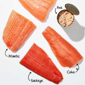 Zalmzijde Coho m/huid trim D Premium DV